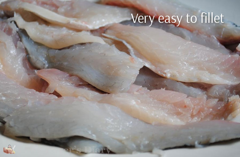 fillets of sea bream uncooked